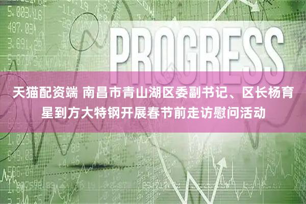 天猫配资端 南昌市青山湖区委副书记、区长杨育星到方大特钢开展春节前走访慰问活动