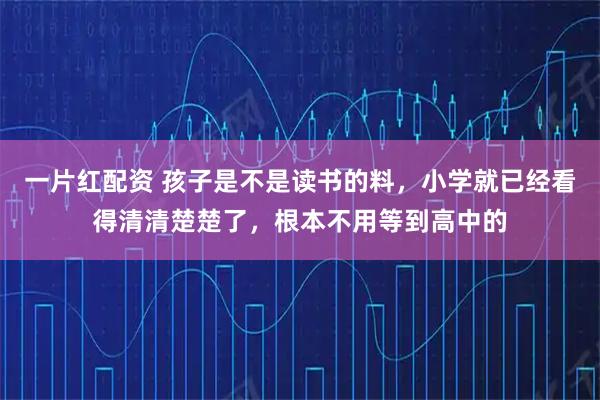 一片红配资 孩子是不是读书的料，小学就已经看得清清楚楚了，根本不用等到高中的
