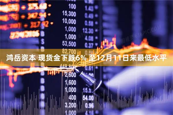鸿岳资本 现货金下跌6% 至12月11日来最低水平