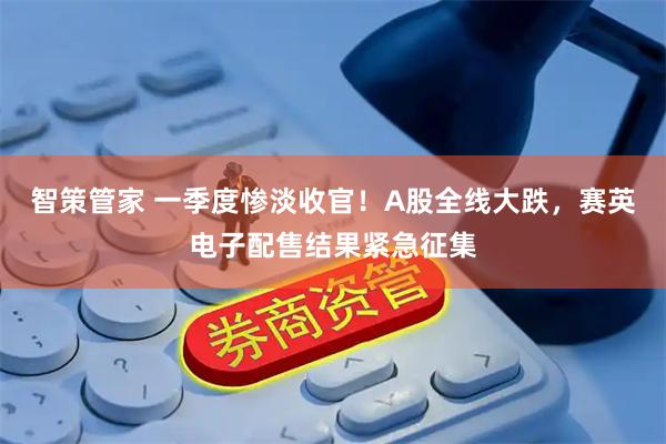 智策管家 一季度惨淡收官！A股全线大跌，赛英电子配售结果紧急征集