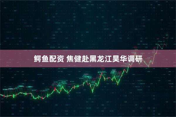 鳄鱼配资 焦健赴黑龙江昊华调研
