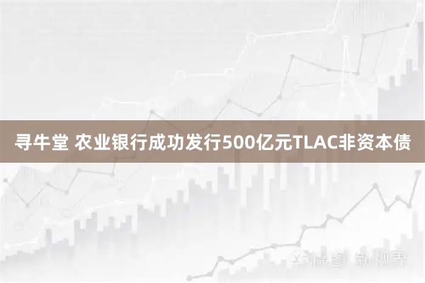 寻牛堂 农业银行成功发行500亿元TLAC非资本债