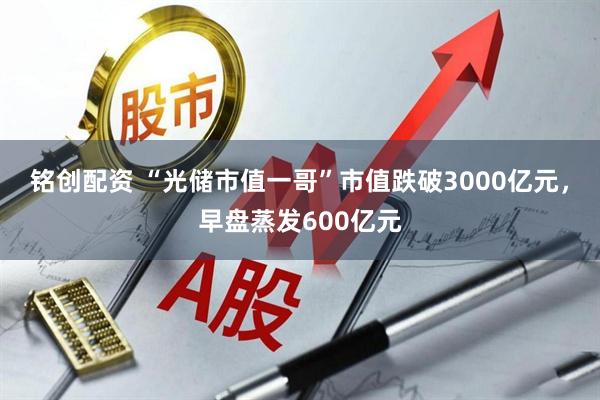 铭创配资 “光储市值一哥”市值跌破3000亿元，早盘蒸发600亿元