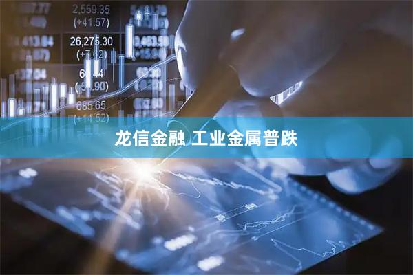 龙信金融 工业金属普跌