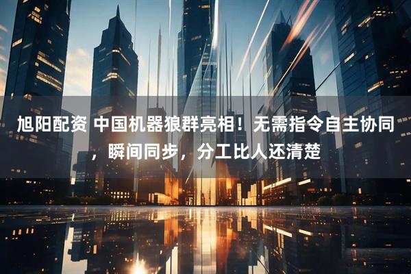 旭阳配资 中国机器狼群亮相！无需指令自主协同，瞬间同步，分工比人还清楚