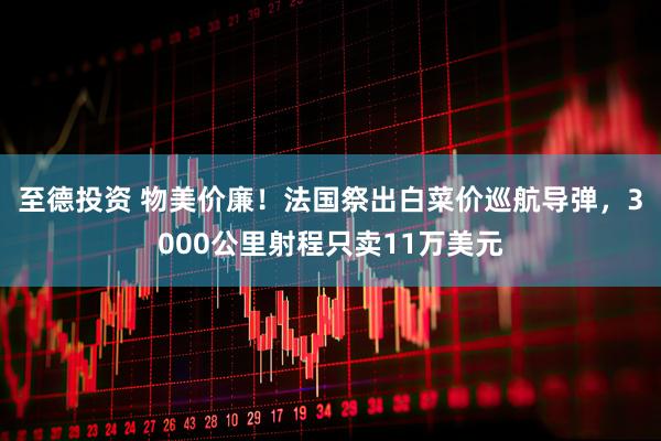 至德投资 物美价廉！法国祭出白菜价巡航导弹，3000公里射程只卖11万美元
