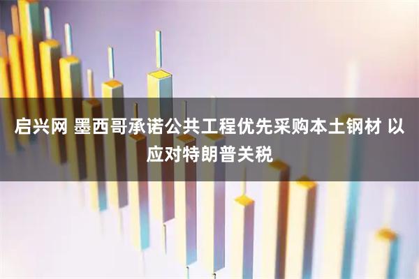 启兴网 墨西哥承诺公共工程优先采购本土钢材 以应对特朗普关税