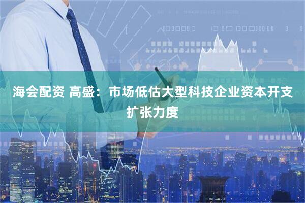 海会配资 高盛：市场低估大型科技企业资本开支扩张力度