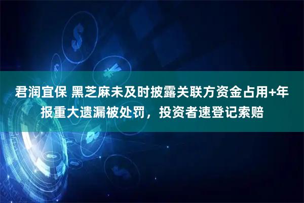 君润宜保 黑芝麻未及时披露关联方资金占用+年报重大遗漏被处罚，投资者速登记索赔